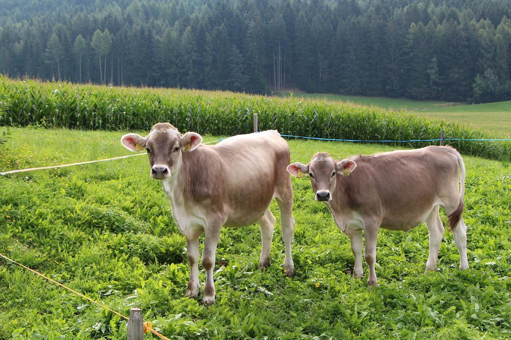 Spisserhof Chiusa Eksteriør billede