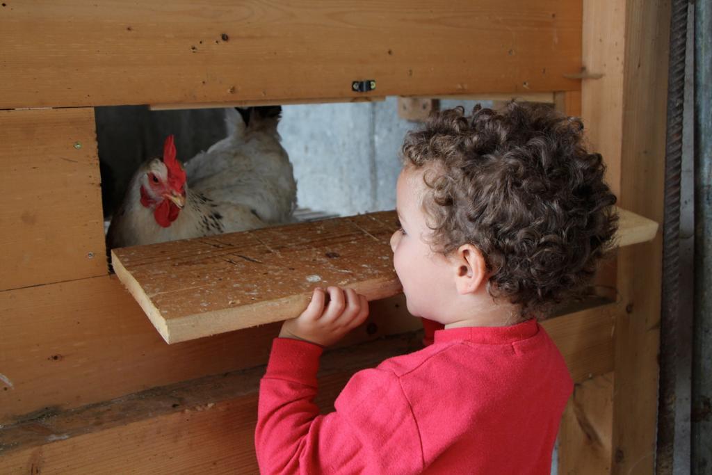 Spisserhof Chiusa Eksteriør billede